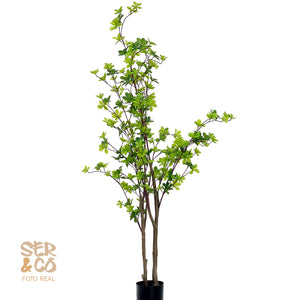 Arbol de Encina Mod2 180 cm